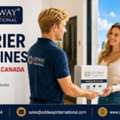 Courier Medicines From India To Canada: Export Documentation - Oddway
