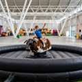 Mechanical Ride Hire Darwin &ndash; Exciting & Unforgettable Event Entertainment