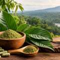 Borneo Kratom &ndash; Shop Quality Kratom Products Online