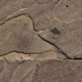 Uneven Floors In Your Home: Causes & Warning Signs