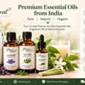 Essential Oils In India | Bulk Organic & Natural Essential Oils Wholesale