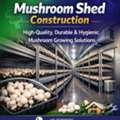 Shed Construction Services For Mushroom Farming