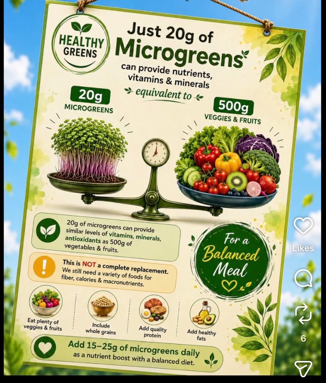 Riyadh, Florist, Training For Growing Microgreens In Home