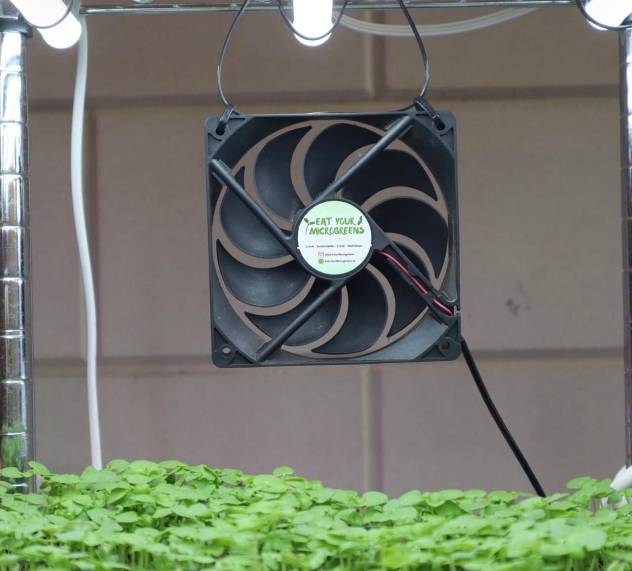 Riyadh, Florist, Training For Growing Microgreens In Home