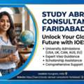 The Best Faridabad Study Abroad Consultants - Foreign Universities Experts