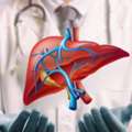Best Liver Transplant Hospital In Ahmedabad