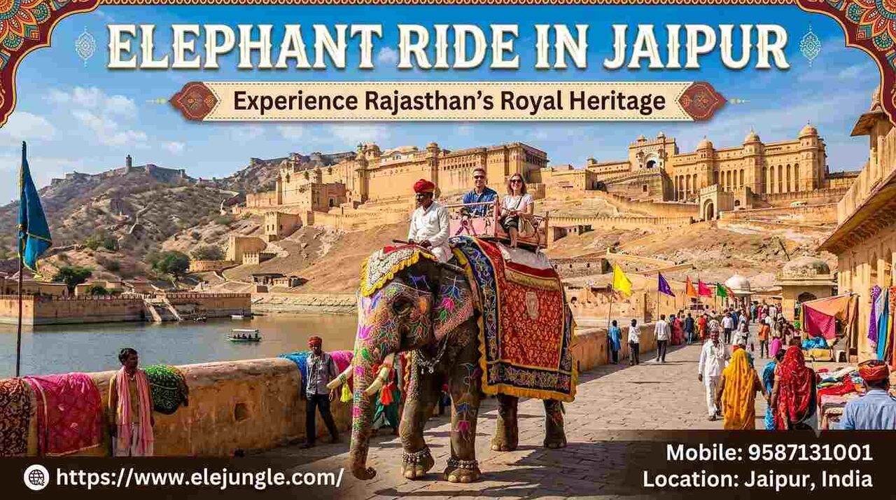 Jaipur, Travel, Experience Unforgettable Elephant Ride With Picturesque Scenery