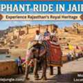 Experience Unforgettable Elephant Ride With Picturesque Scenery