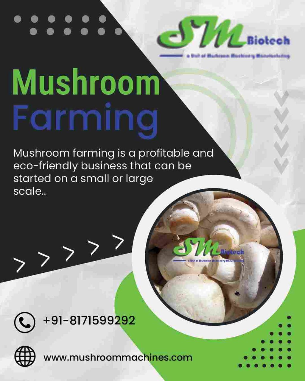 Mumbai, Business, Mushroom Farming Machines For Efficient Cultivation
