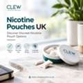 UK Nicotine Pouches &ndash; Explore The Clew Range