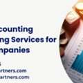 Online Accounting Outsourcing Services For Small Companies