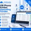 B2B Phone Number Appending Provider