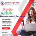 INR 7800,  Shopify Website Development Services