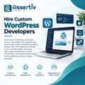 Hire Custom WordPress Developers