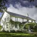 Add A Touch Of Classic Style With French Windows