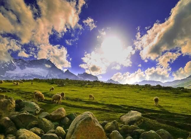 New Delhi, Travel, Splendid Hues Of Kashmir.4 Nights(1N Sonamarg, 1N Srinagar, 1N Gulmarg, 1N Pahalgam).