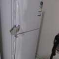 SAR 1300,  2 Bedroom Room For Rent With Home Appliances