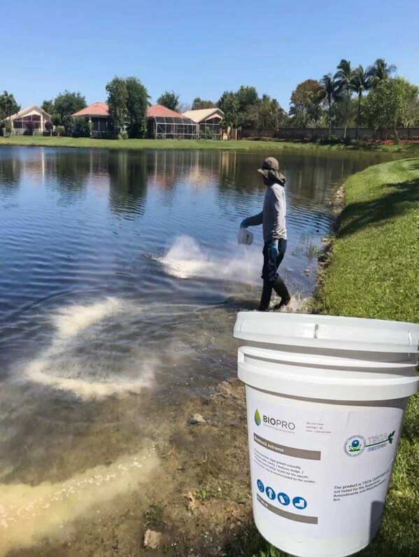 New York, Business, Pond Sludge Removal Guide: The Secret To Stopping Algae Blooms &ndash; Nature