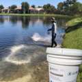 Pond Sludge Removal Guide: The Secret To Stopping Algae Blooms &ndash; Nature's Workforce