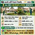General Cleaner