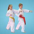 Karate Classes For 8-Year-Olds With A Clear Path Forward
