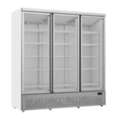 Display Fridge For Sale To Support Food And Beverage Presentation