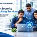 Cyber Security Consulting Services For Business Protection &ndash; Dualsys Techno