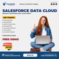 Salesforce Data Cloud Training Hyderabad | Hands-On Projects