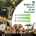 Safari Au Kenya Et En Tanzanie &ndash; Une Aventure Inoubliable