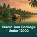 Kochi To Munnar 3 Nights Kerala Tour Package Under 12000