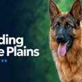Dog Boarding White Plains
