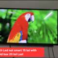 BHD 15,  32 Inch Led Not Smart 15 Bd With Android Box 20 Bd Msg 3670 8372 Wts Ap No Call