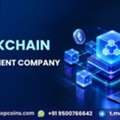 Build Enterprise-Ready Web3 Solutions For Singapore Businesseswith Blockchain Development