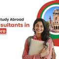 Top Study Abroad Consultants In Indore