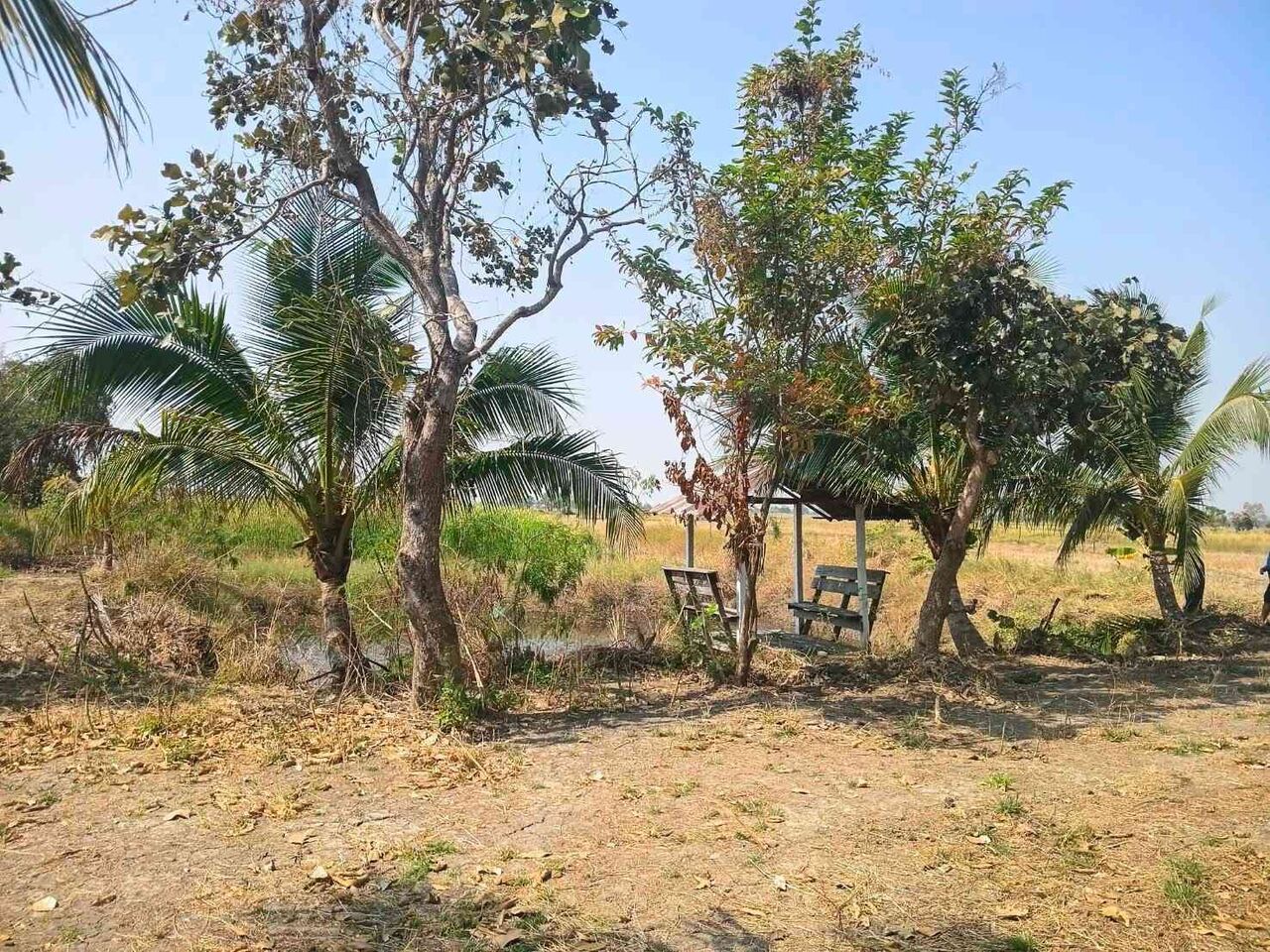Bangkok, Real Estate For Sale, THB 2200000,  6 BR,  2358 Sq. Feet,  ขายที่ดินพร้อมสิ่งปลูกสร้าง วิวท