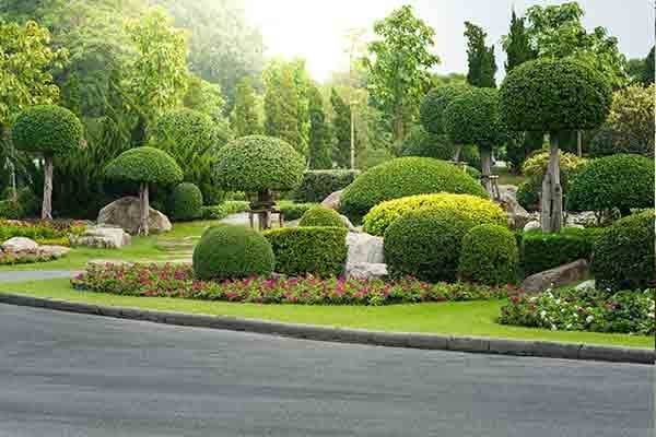 Dubai, Construction, Landscaping Company In Dubai &ndash; Professional Landscaping Services