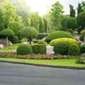 Landscaping Company In Dubai &ndash; Professional Landscaping Services