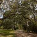 Best Land For Sale Cobblebank For Your New Home
