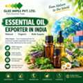 Essential Oil Exporter In India For Natural, Quality & Bulk Essential Oils