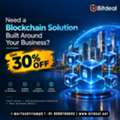 Need A Blockchain Solution Built Around Your Business? Get 30% OFF