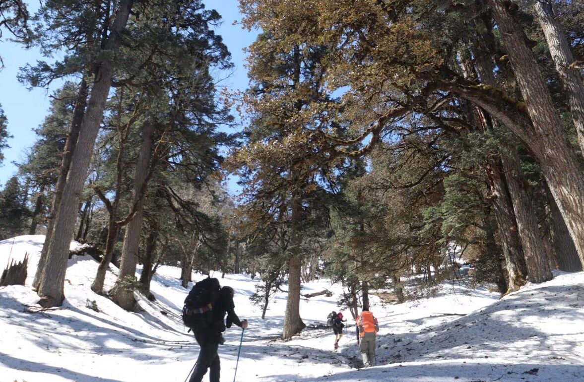 New Delhi, Travel, Pangarchulla Peak Trek Package