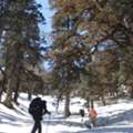 Pangarchulla Peak Trek Package