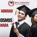Trusted Consultancy In Vijayawada For Abroad | SNY Cosmos