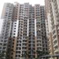 What Is The Monthly Rent For A Studio Apartment In Noida