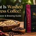What Is Washed Process Coffee? Taste, Flavor & Brewing Guide &ndash; Mesho Coffee