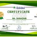 Work Permit Receiver (Non Aramco)  Available For Local Transfer