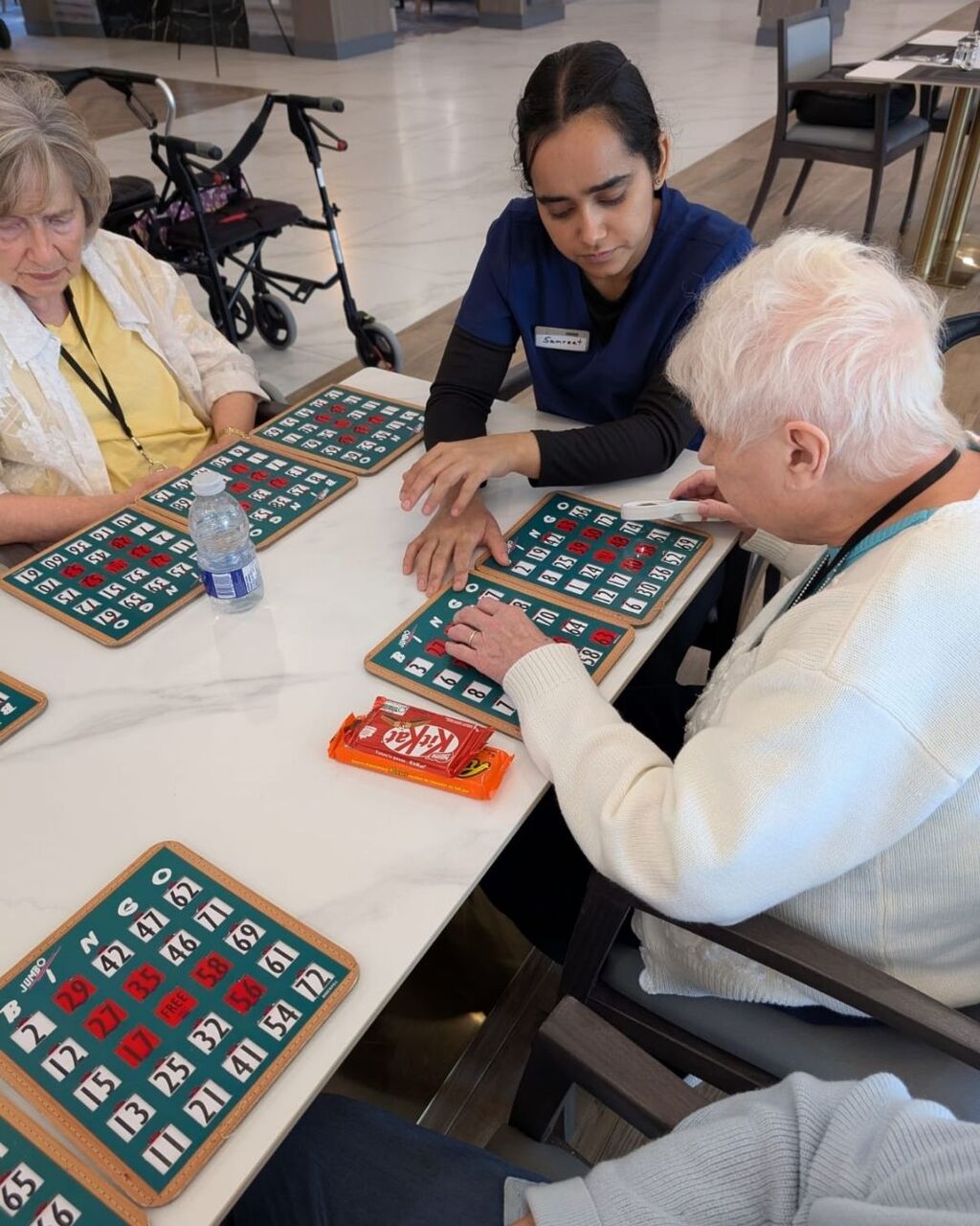 Toronto, General, Enjoy Fun Games And Recreation At Brantford Manor