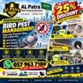 🏡 Bird Control For Villas & Compounds In Jeddah | Professional Protection