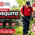 Mosquito Control Services In Springfield &ndash; Professional Treatment & Prevention