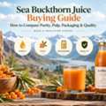 INR 1, Sea Buckthorn Juice Buying Guide: How To Choose The Best Quality